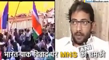 MNS Says To Pakistani Artists To Leave India