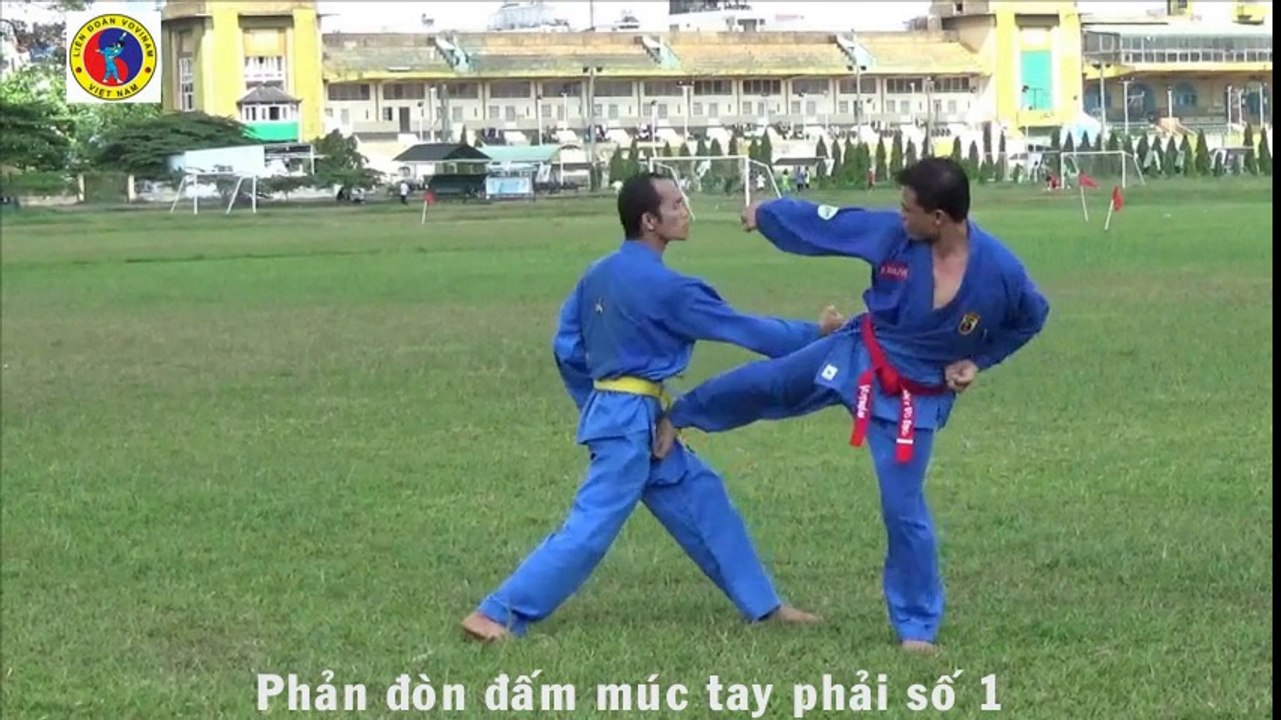 Vovinam: Phản đòn cơ bản trình độ 1 (vietnamese federation 2016)