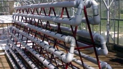 Homemade hydroponic lettuce system