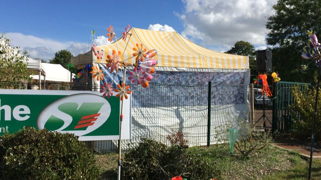 Festival de cerfs-volants à Coulaines