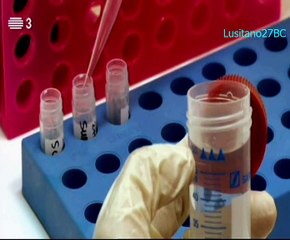 DOC, Campos Envenenados, Glifosato, Um Risco Subestimado&, RTP3