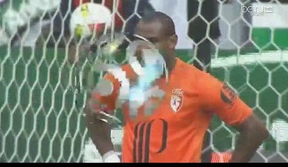 Robert Beric Goal HD- Saint-Étienne 1-0 Lille 25.09.2016