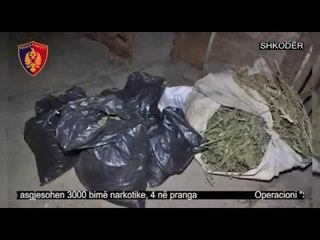 Ora News - Arrestohen për vendosje eksplozivi, u gjendet drogë për treg dhe në parcela