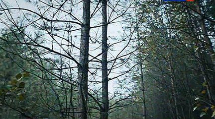 05.Дружина.2015.SATRip.RG.Russkie.serialy.&.Files-x