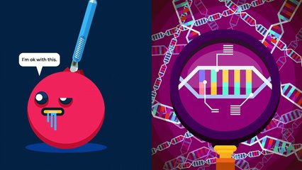 Genetic Engineering Will Change Everything Forever – CRISPR