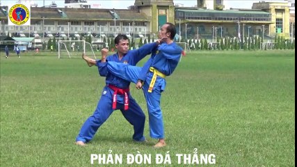 Vovinam: Phản đòn Các lối đá căn bản trình độ 1 (Vietnamese federation)
