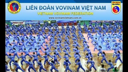 Vovinam: Xô ẩn đạp bụng  1 - 2 (Vietnamese federation 2016)