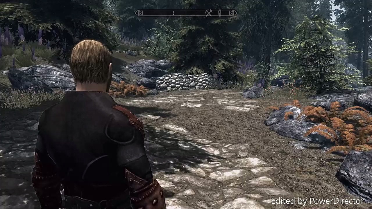 Skyrim how to change race