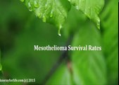 Mesothelioma survival rates and Insurance you can call - part 1