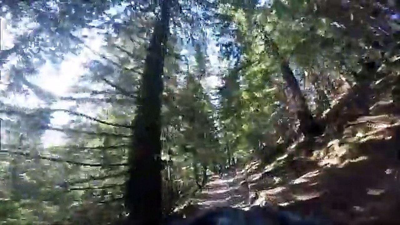 Bike trip Medraft Romania 2016 Carpathian Mountains