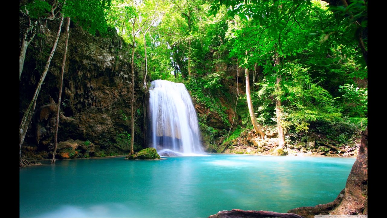 Louange Adoration FOI