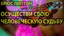 Осуществи свою человеческую судьбу. Брюс Липтон