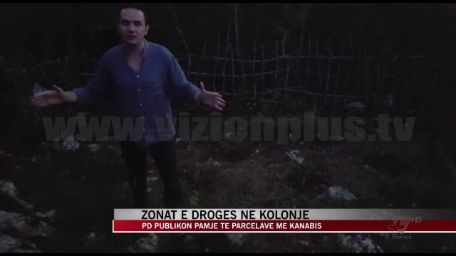 PD publikon pamje të parcelave me kanabis - News, Lajme - Vizion Plus
