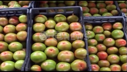 Ora News - Shtrenjtimi i fruta-perimeve, Ministria e Bujqësisë asnjë mekanizëm për të ndërhyrë