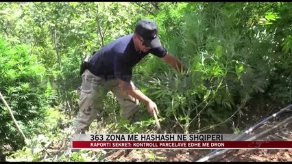 363 zona me hashash në Shqipëri - News, Lajme - Vizion Plus