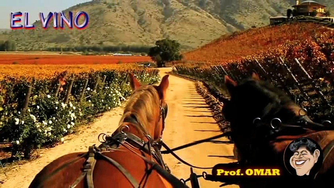 Chile 1 Prof. OMAR
