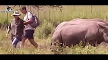 Most Amazing Wild Animal Attacks #23 - Craziest Animal Fights Caught On Camera, Lion, Hippo,Hunman