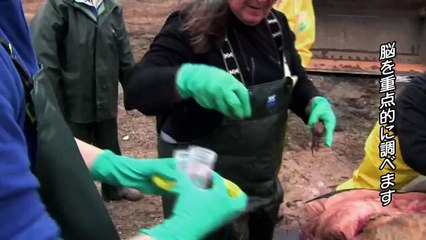 地球最後の日を生きる #01 「ゾンビと化した人類」