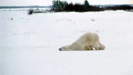 When I go into work on Monday | Funny videos !