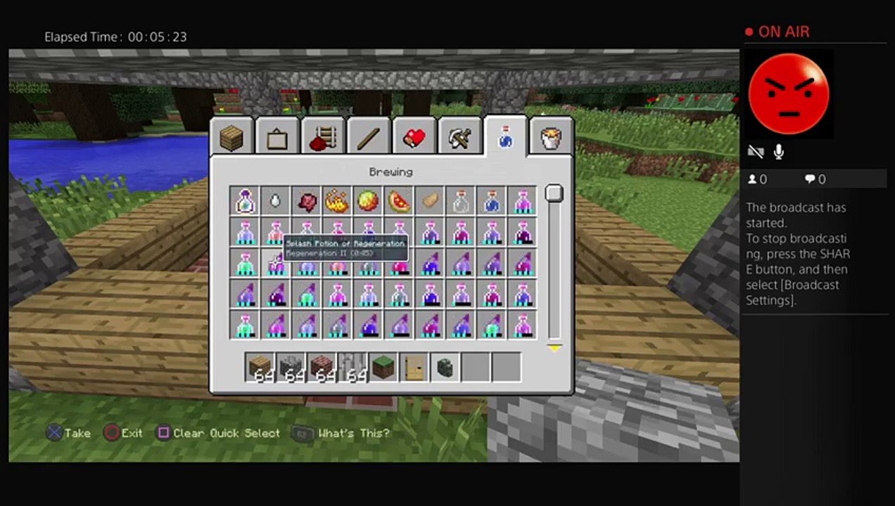 Kaydee minecraft (2)