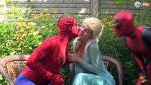 Frozen Elsa Blowing Bubble! /w Spiderman, Venom, Hulk, Deadpool & Pink Spidergirl