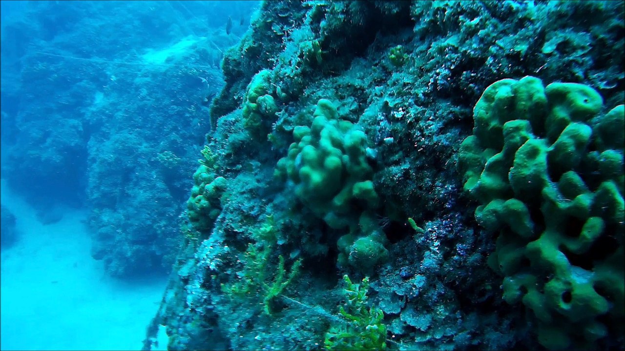 diving days 2016... :-) :-)