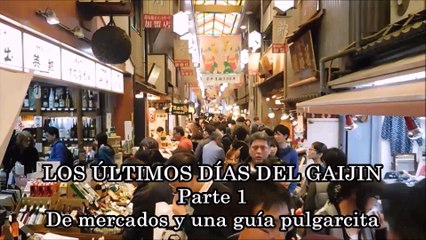 LOS ÚLTIMOS DÍAS DEL GAIJIN Parte 1. De mercados y una guia pulgarcita