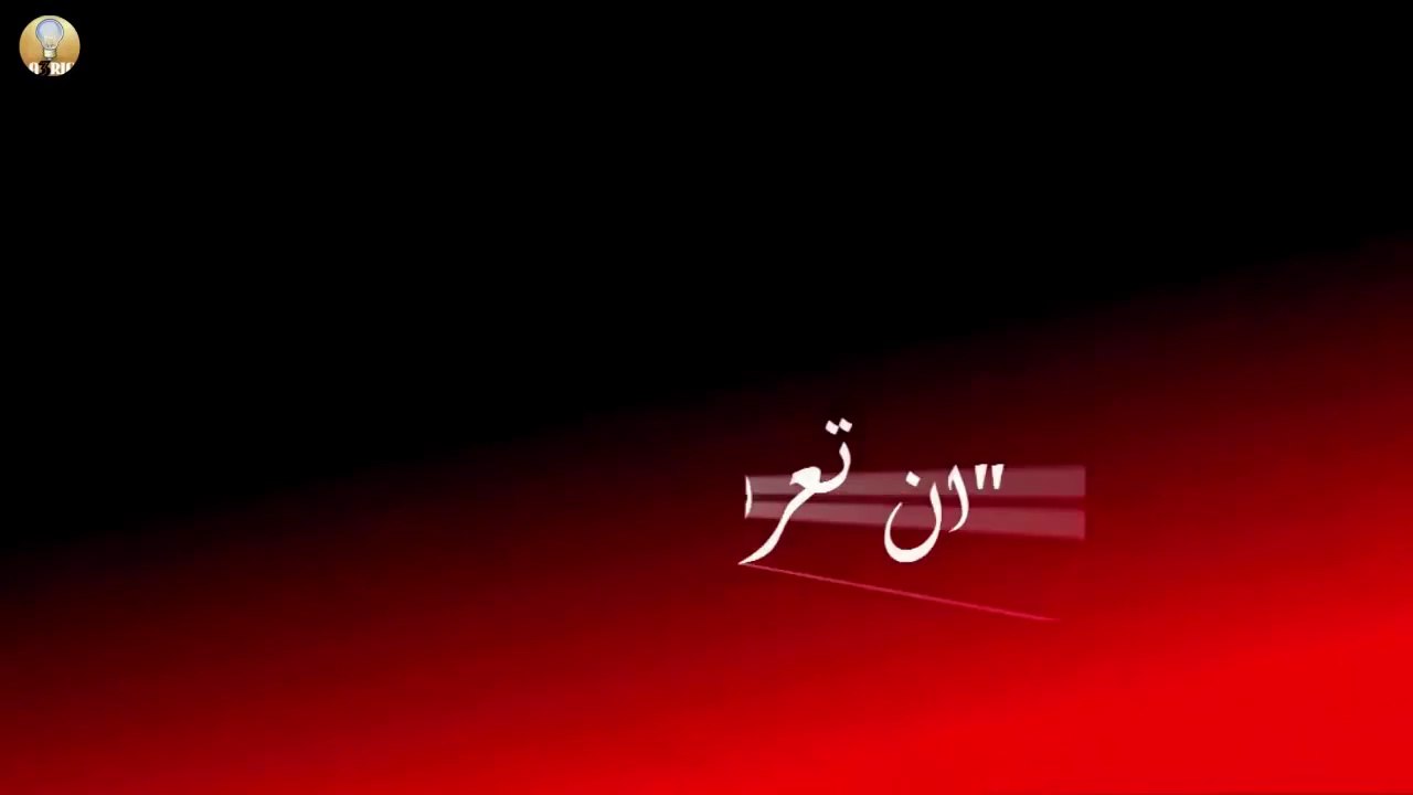 اخطر 10 مقاتلين على الاطلاق