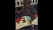 Adorable Toddler Gives His Version of a Bedtime Story