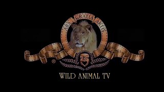 Lion vs Gnu to Death, Cheetah vs Buffalo, Leopard vs Zebra #20 Most Amazing Wild Animal Attacks.