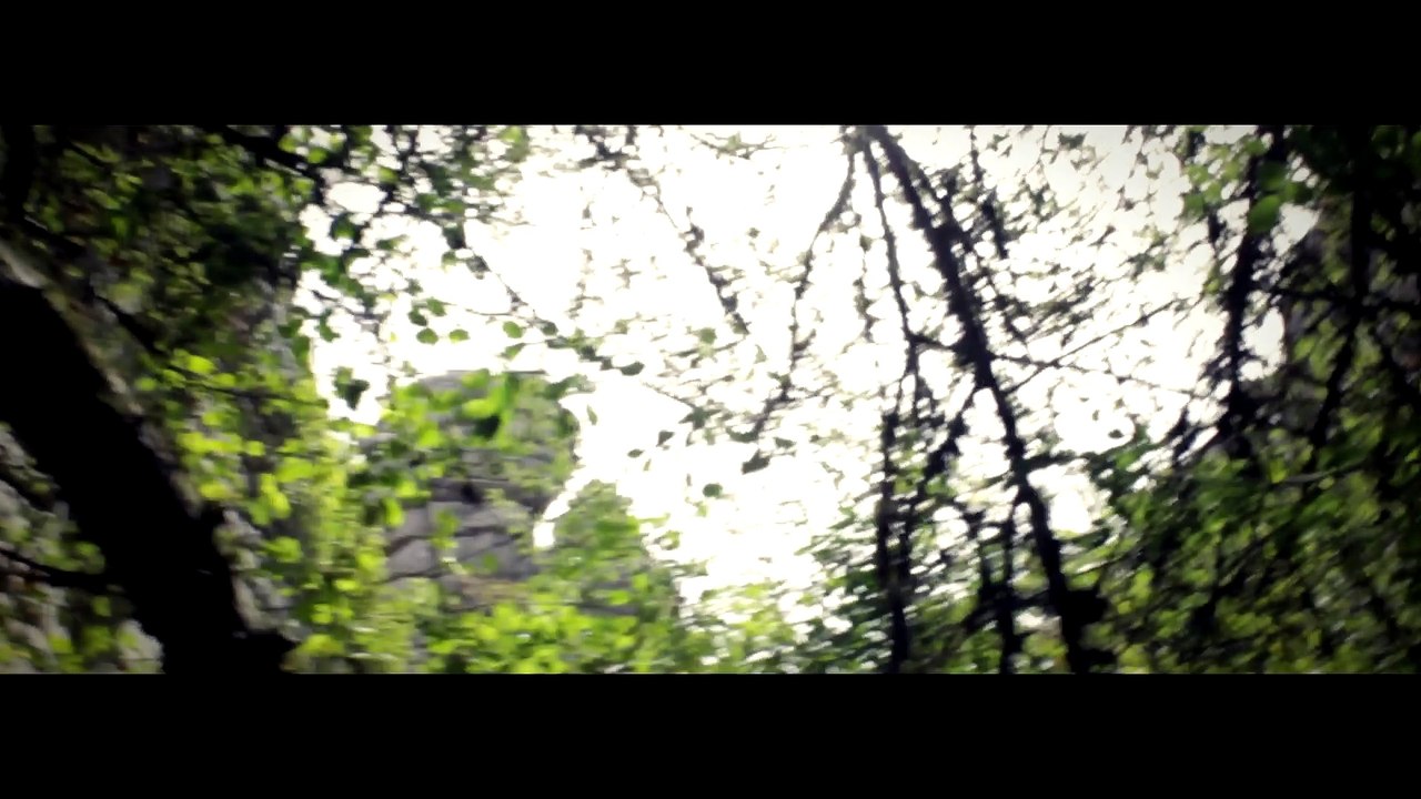 live free ( TRAILER)