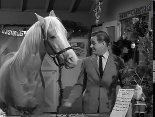 Mister Ed S4 | Eds Christmas Story