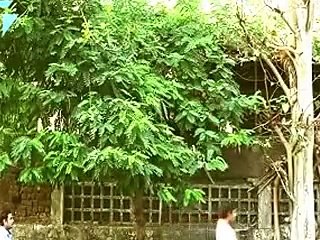 Funny Viral Video|Funny Fail|Epic Comedy|funny eve teasing in public