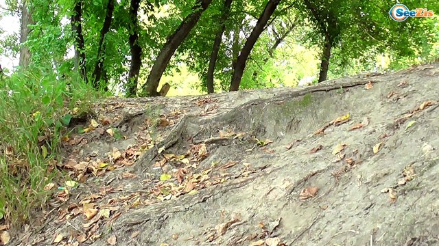 Свинка Пеппа Мультики с игрушками. Маша и Медведь Мультфильм. Спайдермен и Халк Бой - Серия 56