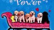 Puppy Power Anna Wilson Ebook EPUB PDF