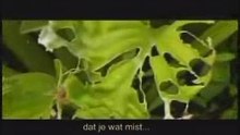 Snel naar je doel