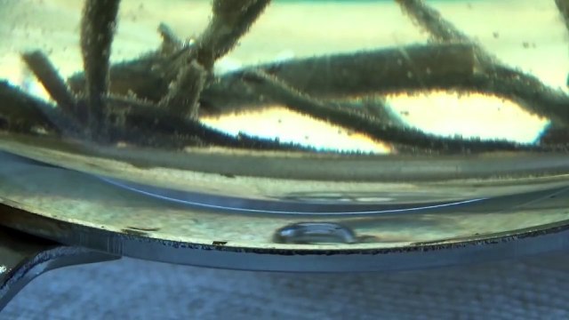 Chinese Tea For Five - Before Five-o'clock Tea