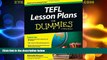 Big Deals  TEFL Lesson Plans For Dummies  Best Seller Books Best Seller