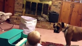 Funny Dog And Baby Have Musical Duet