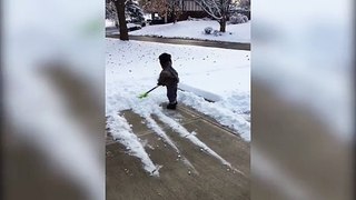 Cute Kid Tries To Help Shovel Snow
