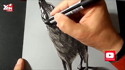 Drawing a 3D Wolf