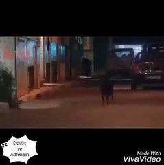 Sakat Adamı Kurtarma Operasyonu :)