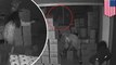 Self-defense shooting: woman shoots at 3 home invaders, killing one in Atlanta - TomoNews