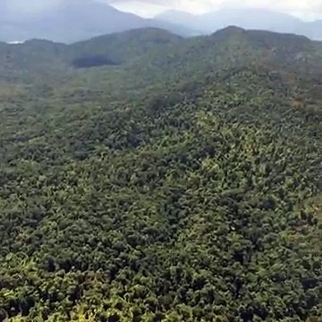 Helicopter Tours In Cairns - Nautilus Aviation