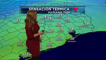 Irene Sans 30.12.2014