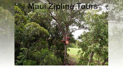 Maui Zipline Tours